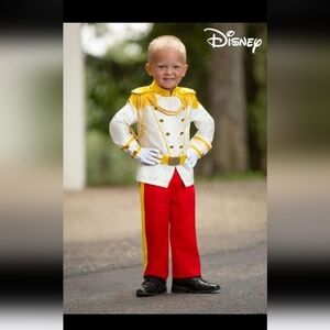 Disney prince charming outfit